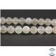 Perles en pierre de Lune opalescente d'Inde - Rondes/8 mm - Grade AA