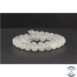 Perles en pierre de Lune opalescente d'Inde - Rondes/10 mm - Grade AA