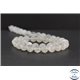 Perles en pierre de Lune opalescente d'Inde - Rondes/10 mm - Grade AA