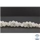 Perles en pierre de Lune opalescente d'Inde - Rondes/10 mm - Grade AA