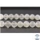 Perles en pierre de Lune opalescente d'Inde - Rondes/10 mm - Grade AA