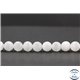 Perles en sélénite de Russie - Rondes/10mm - Grade A