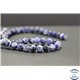 Perles en sodalite d'Afrique du Sud - Rondes/8mm - Grade AB+