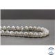 Perles en labradorite de Madagascar - Rondes/8mm - Grade AA