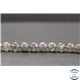 Perles en labradorite de Madagascar - Rondes/8mm - Grade AA