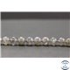 Perles en labradorite de Madagascar - Rondes/8mm - Grade AA
