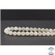 Perles en pierre de Lune opalescente du Sri Lanka - Rondes/8mm - Grade A