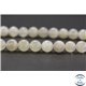 Perles en pierre de Lune opalescente du Sri Lanka - Rondes/8mm - Grade A