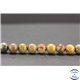 Perles en jaspe arc en ciel - Rondes/8mm