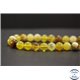 Perles en opale jaune d'Afrique - Rondes/10mm - Grade AB