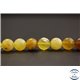 Perles en opale jaune d'Afrique - Rondes/10mm - Grade AB