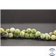 Perles en jaspe vert d'Australie - Rondes/10mm - Grade AB