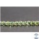 Perles en apatite verte de Madagascar - Rondes/4mm - Grade A