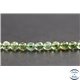 Perles en apatite verte de Madagascar - Rondes/4mm - Grade A