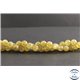 Perles en apatite jaune de Madagascar - Rondes/8mm - Grade AA