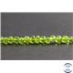 Perles en ambre vert de la République Dominicaine - Nuggets/5mm - Grade AB