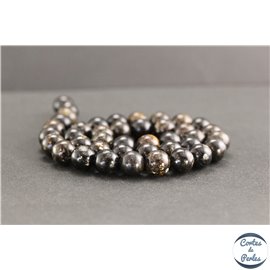 Perles en biotite - Rondes/10mm - Grade A