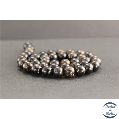 Perles en biotite - Rondes/10mm - Grade A