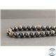 Perles en biotite - Rondes/10mm - Grade A