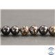 Perles en biotite - Rondes/10mm - Grade A