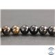 Perles en biotite - Rondes/10mm - Grade A