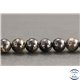 Perles en biotite - Rondes/10mm - Grade A