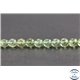 Perles en apatite verte de Madagascar - Rondes/6mm - Grade A