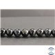 Perles en oeil de faucon - Rondes/12mm - Grade A