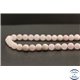 Perles en calcite rose du Mexique - Rondes/8mm - Grade A