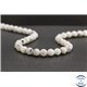 Perles en pierre de lune du Sri Lanka - Rondes/8mm - Grade B