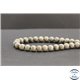 Perles en jaspe feuille d'argent d'Australie - Rondes/8mm - Grade A