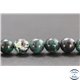 Perles en chrysocolle du Pérou - Rondes/10mm - Grade A
