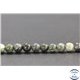 Perles en serpentine du Canada - Rondes/6mm - Grade AB+