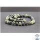 Perles en serpentine du Canada - Rondes/8mm - Grade AB+