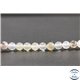Perles en agate dendritique du Brésil - Rondes/6mm - Grade A