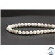Perles en magnésite du Brésil - Rondes/6mm