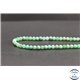 Perles en chrysoprase d'Australie - Rondes/4mm - Grade AA