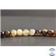 Perles en agate café du Brésil - Rondes/8mm
