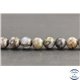 Perles en opale marron d'Afrique - Rondes/8mm - Grade AB+