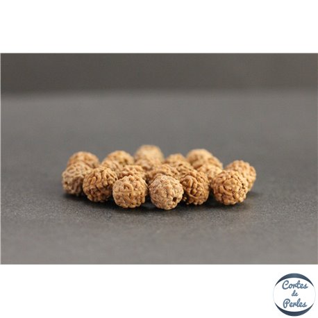Perles en graines de rudraksha d'Inde - Rondes/8.5mm