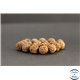 Perles en graines de rudraksha d'Inde - Rondes/8.5mm