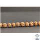 Perles en graines de rudraksha d'Inde - Rondes/8.5mm