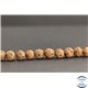 Perles en graines de rudraksha d'Inde - Rondes/8.5mm