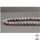 Perles en iolite sanguine d'Inde - Rondes/7.5mm - Grade AA