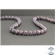 Perles en iolite sanguine d'Inde - Rondes/7.5mm - Grade AA