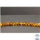 Perles en ambre du Sri Lanka - Rondes/7.5mm - Grade AB+