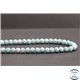 Perles en larimar de République Dominicaine - Rondes/5.5mm - Grade AB+