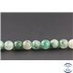 Perles en chrysoprase d'Australie - Rondes/6mm - Grade A