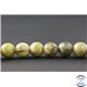 Perles en vésuvianite du Canada - Rondes/8mm - Grade AB