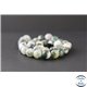 Perles en agate arbre - Rondes/10mm